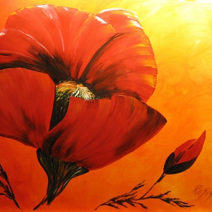 Red Poppy