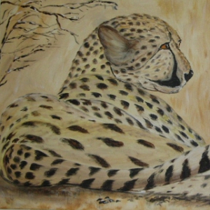 Leopard